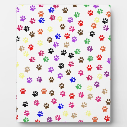 Photo Plaque de pattes (Devant)