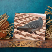 Photo Plaque de pigeon sur le toit (Côté)