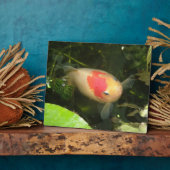 Photo Plaque de poisson d'or (Côté)