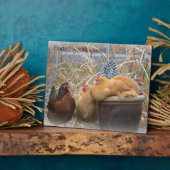 Photo Plaque de poulet (Côté)