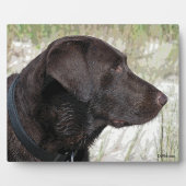Photo Plaque de profil du Labrador de chocolat (Devant)