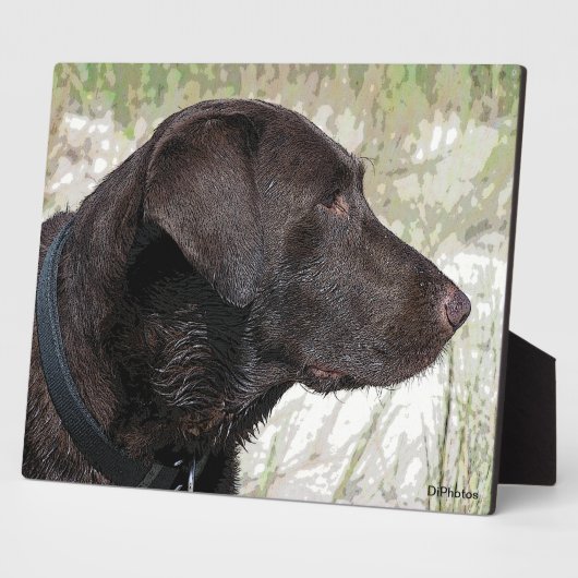 Photo Plaque de profil du Labrador de chocolat (Côté)