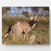 Photo Plaque de table blanche Buck avec de l'Easel (Devant)