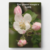 Photo Plaque de table Words of Wisdom avec Easel (Devant)