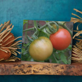 Photo Plaque de tomates orange et rouge (Côté)