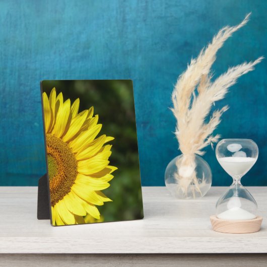 Photo Plaque de tournesol (Côté)