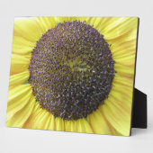 Photo Plaque de tournesol jaune (Côté)