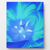 Photo Plaque de tulipe bleu clair (Devant)