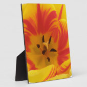 Photo Plaque de tulipe fière (Côté)
