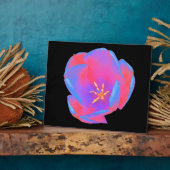 Photo Plaque de tulipe fluorescente (Côté)