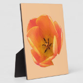 Photo Plaque de tulipe orange (Côté)