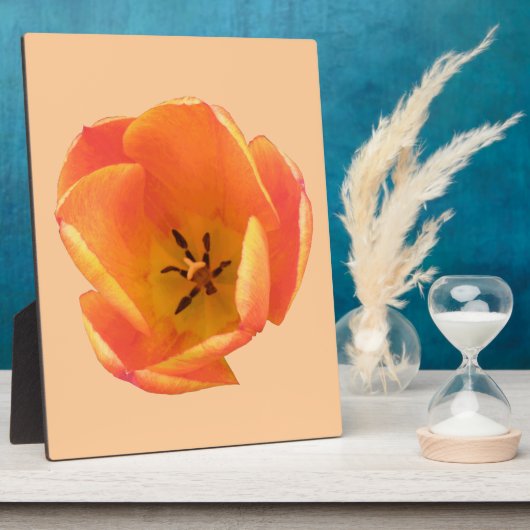 Photo Plaque de tulipe orange (Côté)
