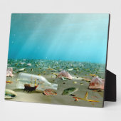 Photo Plaque d'épave livrée en bouteille (Côté)