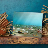 Photo Plaque d'épave livrée en bouteille (Côté)