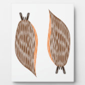 Photo Plaque des limaces (Devant)