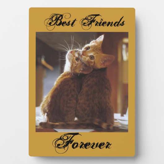 Photo Plaque des meilleurs amis (Devant)