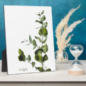 Photo Plaque d'Eucalyptus (Côté)