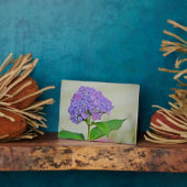 Photo Plaque d'Hydrangea (Côté)