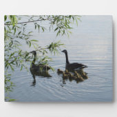 Photo Plaque d'oies sauvages (Devant)