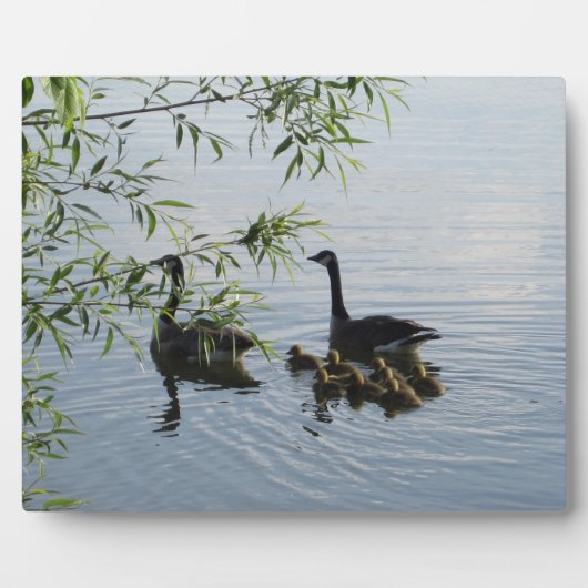 Photo Plaque d'oies sauvages (Devant)