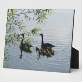 Photo Plaque d'oies sauvages (Côté)