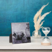 Photo Plaque d'orchidée délicate (Insitu)