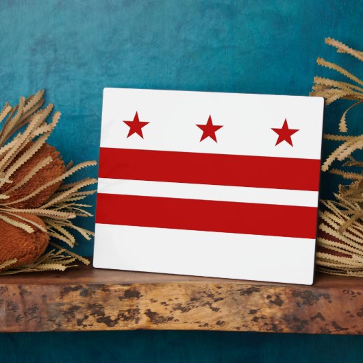 Photo Plaque drapeau de l'État de Washington DC (Côté)