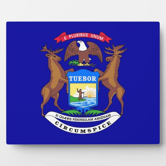 Photo Plaque drapeau de l'État du Michigan (Devant)