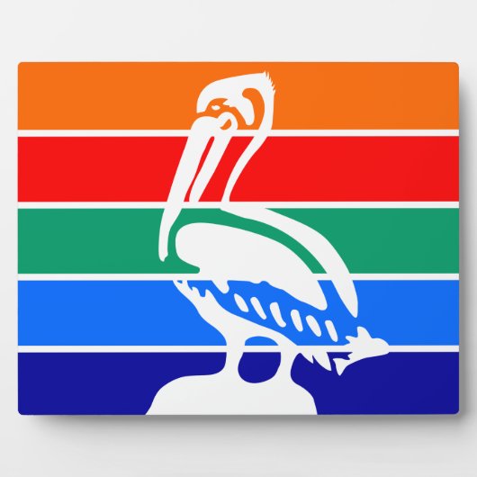 Photo Plaque Drapeau De Saint-Pétersbourg (Devant)