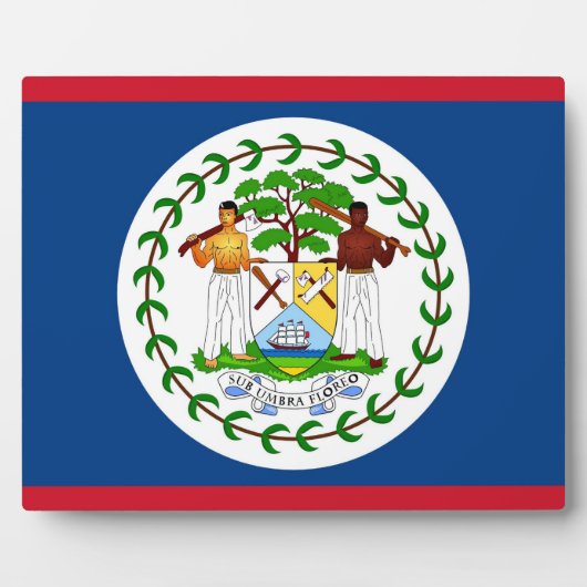 Photo Plaque drapeau du Belize (Devant)