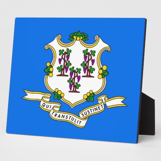 Photo Plaque du drapeau de l'État du Connecticut (Côté)