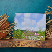 Photo Plaque du jardin (Côté)