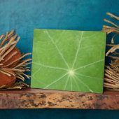 Photo Plaque feuille de Nasturtium (Côté)