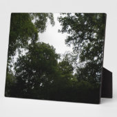 Photo Plaque forestière déplaisante (Côté)