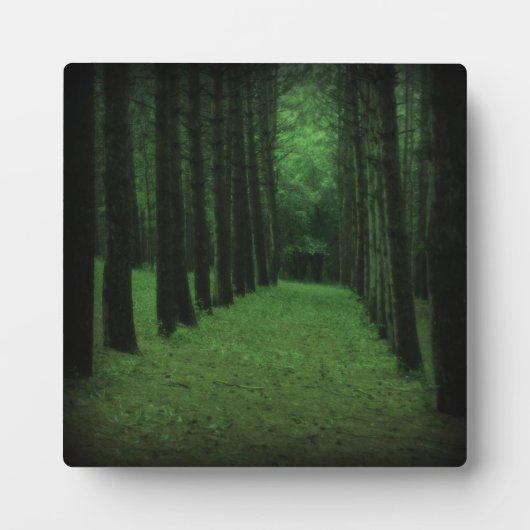 Photo Plaque forestière enchantée (Devant)