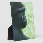 Photo Plaque Gorilla Gaze (Côté)