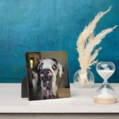 Photo Plaque Great Dane Foto (Insitu)