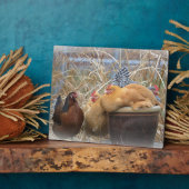 Photo Plaque Hen (Côté)