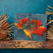 Photo Plaque image rétroréflexion (Côté)