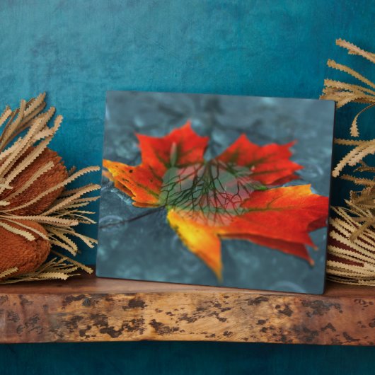 Photo Plaque image rétroréflexion (Côté)