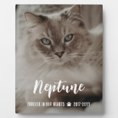 Photo Plaque Mémorielle Chat Nom en Écriture Dans Nos Cœ (Devant)
