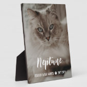 Photo Plaque Mémorielle Chat Nom en Écriture Dans Nos Cœ (Côté)