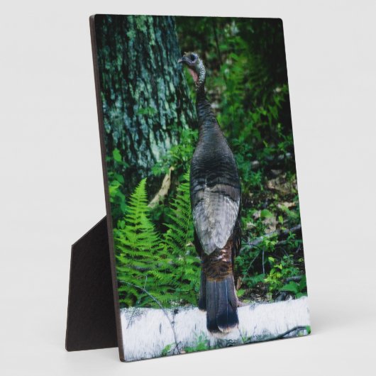 Photo Plaque Mère Turquie (Côté)