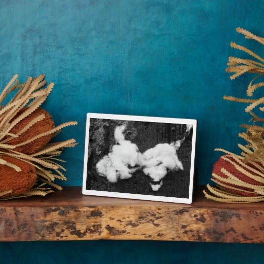 Photo plaque moelleuse (Côté)