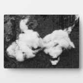 Photo plaque moelleuse (Devant)