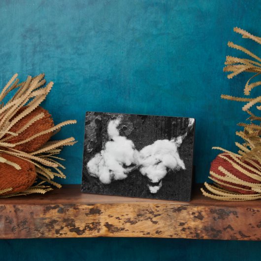 Photo plaque moelleuse (Côté)