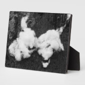 Photo plaque moelleuse (Côté)