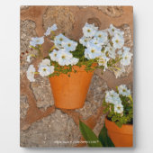 Photo Plaque murale espagnole (Devant)