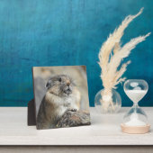 Photo Plaque Pika Desktop (Insitu)