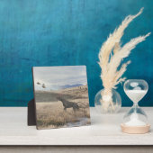 Photo Plaque pointeur germanique (Insitu)